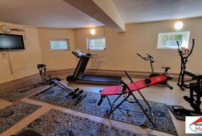 Casa - Vila cu teren 14,45 ari Paulesti ( ID 22659) - 6