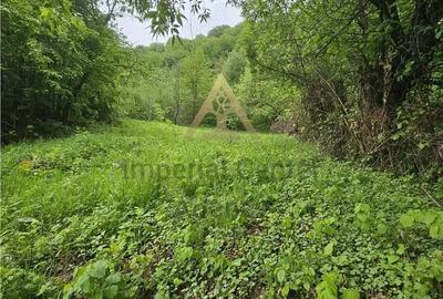 Teren de 2842 mp, în Vest - 9