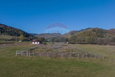 Teren Construcții intravilan de 2100 mp, în Plaiul Foii - 4