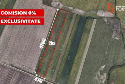 COMISION 0% Teren extravilan agricol, Sacalaz - 20.000 mp COMISION 0% Teren extravilan agricol, Sacalaz - 20.000 mp - 1