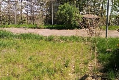 Casă individuală cu 4 camere cu Piscina în Belciugatele - 27