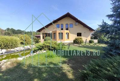 Casa Exclusivista in Sebes - Alba Transalpina cu 2400 mp teren Casa Exclusivista in Sebes - Alba Transalpina cu 2400 mp teren - 6