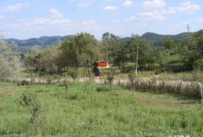 Teren de 2070 mp, în Vârfuri - 2