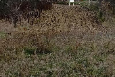 Teren de 734 mp, în Plugova - 2