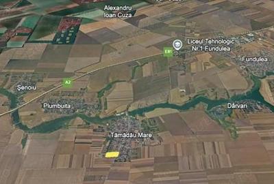 Teren intravilan 5000 mp Tamadau Mare deschidere 35 metri la DN3 - 2