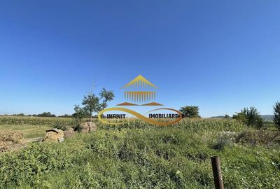 Casa de vanzare in Bacau Siretu 4000 mp teren 2 case curt... - 1