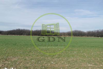 Teren de 21496 mp, în Saca - 5
