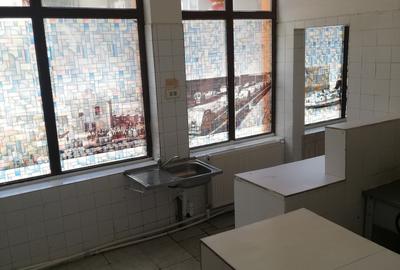 Parcul Carol activitati comerciale,horeca, showrrom, servicii - 5