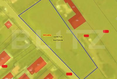 Teren de 1699 mp, în Moara