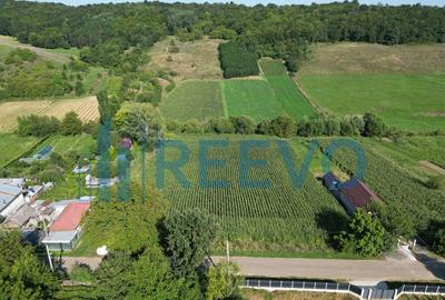 Teren intravilan de vanzare, Sat Bogdan?ti, Com. Traian - 5