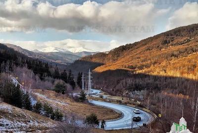 Teren de vanzare pe DN1 A / Prahova / Maneciu
