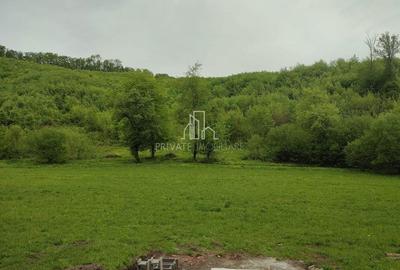 Teren de vanzare, 20.000Mp , Comuna Danes, drumul Crisului - 17