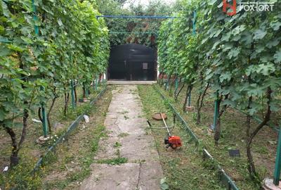 Casă individuală cu 4 camere cu Canalizare în Plopi - 1