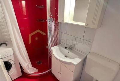 LUNEI - 1 Camera - Bucatarie inchisa - Clima - Mobilat si utilat - 4