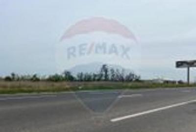 Teren 2,500mp Garoafa / DN E85 - 4