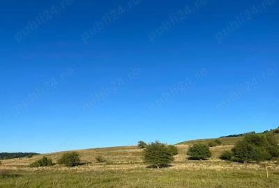 Teren de 2900 mp, în Roșia - 5