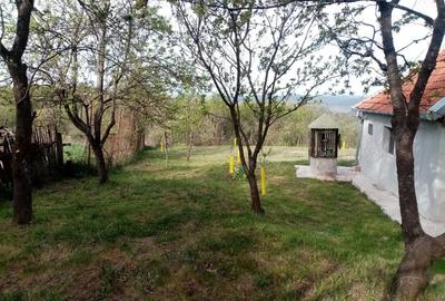 Casă cu 2 camere cu Teren 8000 Mp în Barbura - 2