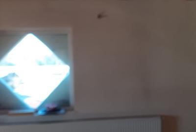 Vind casa p+1din,B.C.A,in Com.Ciolpani - 7