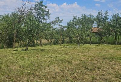 Spațiu comercial, în Boju - 6