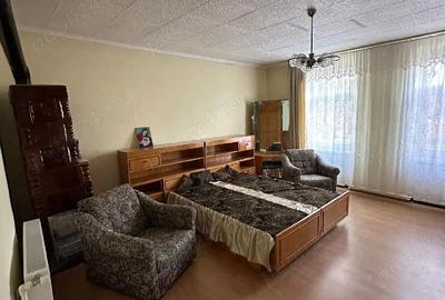 Casă cu 3 camere cu Teren 3000 Mp în Jamu Mare - 1