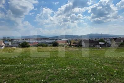 Teren de 10000 mp, în Cetății - 1