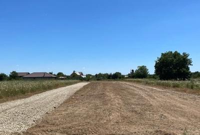 Teren intravilan | Parcelat | Proiect casa | Snagov | Tancabesti