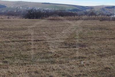 Spațiu comercial, în Jucu - 5