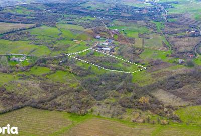 Teren de 33500 mp, în Bucov - 11