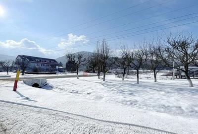 Teren de 16000 mp, în Ghimbav - 4