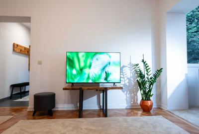 Apartament cu 2 camere semidecomandat în Ultracentral - 5