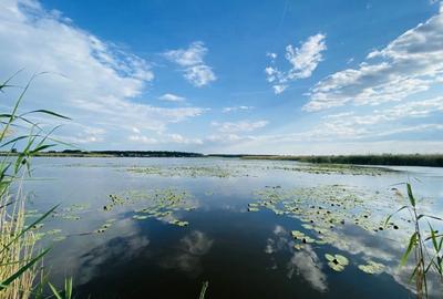 Teren rezidential langa lac Snagov in Silistea Snagovului iesire A3 - 8