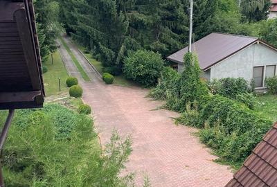 Vanzare vila/casa de vacanta - 28