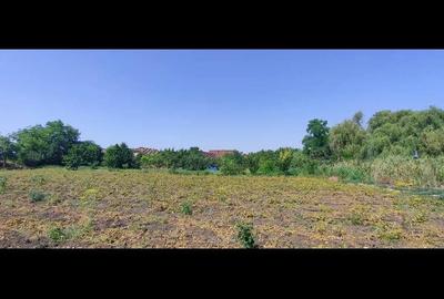 Teren de 2800 mp, în Lovrin - 7