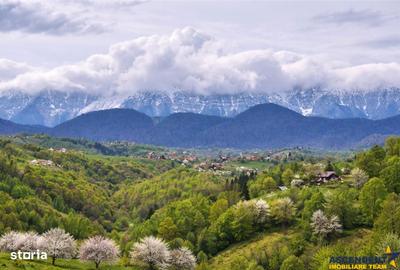 Teren de 6966 mp, în Fundata - 10