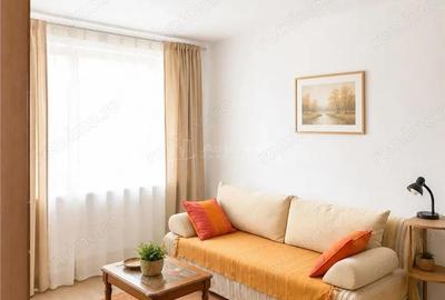 Apartament cu 2 camere semidecomandat în Săsar - 7