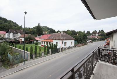 Proximitate imediata fata de Castelul Bran - 50