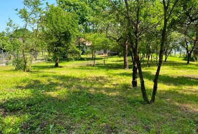 Casa cu teren 2105 mp Campina zona rezidențială - 1