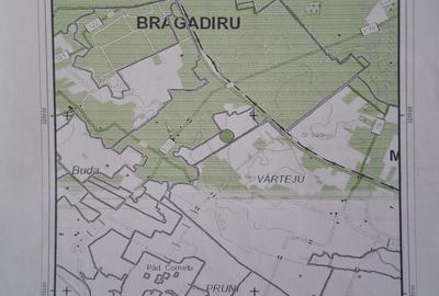 Spațiu comercial, în Central