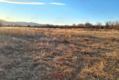 Teren intravilan in Banesti-- 5000mp--26e - 10