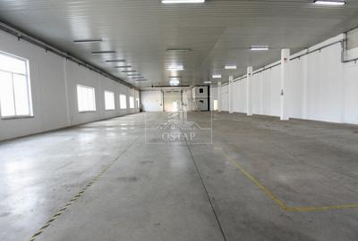 Hala 800 mp-acces TIR-grup sanitar-toate utilitatile-parcare-4 EUR/mp - 3