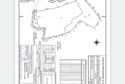 Teren de 29119 mp, în Nucșoara - 1