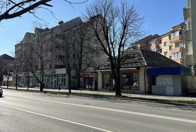 Spațiu comercial, de 316 mp, în Ștefan cel Mare - 1