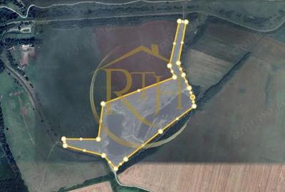 Investi?ie unica, 10 ha teren cu luciu de apa, ideal pentru turism ?i agrement! - 2