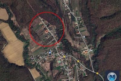 Teren Construcții intravilan de 3604 mp, în Hârsa - 1