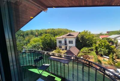 Vedere la Padure, Curte și Balcon - 12
