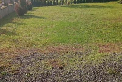 Sat Sasar, 6 ari teren - 2