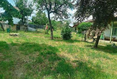 Casă cu 4 camere cu Teren 1490 Mp în Tămăoani - 1