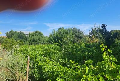 Casă cu Teren 1300 Mp în Chiscani - 2