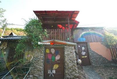 LOCUINTA TA DE VIS IN PADUREA NEAGRA - 6