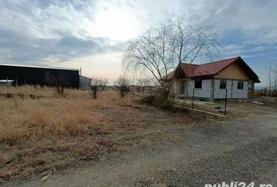 Teren de 722 mp, în Mărăcineni - 5